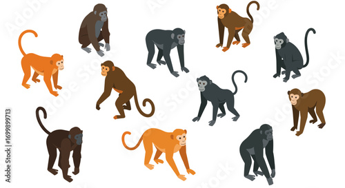 Colorful cartoon monkeys in different poses on white background