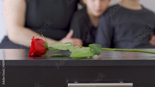 Coffin, flower and woman at funeral with respect, grief or loss at family service for burial.Hand, mourning and female person with red roses on casket for remembrance at memorial at graveyard