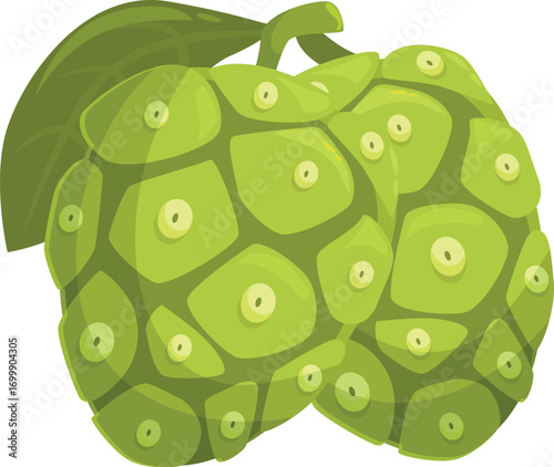 Two noni fruits attached to their stem and leaf, showcasing the fruit's distinctive bumpy texture