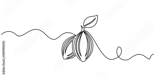 Cocoa beans on a branch, continuous single one line art hand drawing sketch logo, Simple vegetable silhouette. Hand drawn cacao beans branch outline . Fresh cacao concept. Editable stroke
