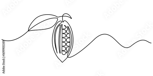 Cocoa beans on a branch, continuous single one line art hand drawing sketch logo, Simple vegetable silhouette. Hand drawn cacao beans branch outline . Fresh cacao concept. Editable stroke