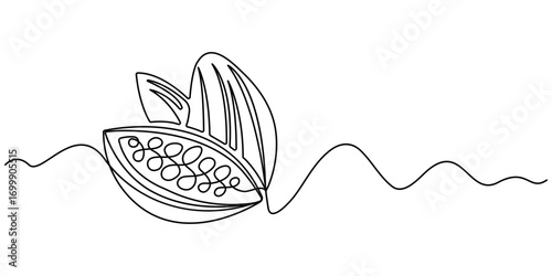 Cocoa beans on a branch, continuous single one line art hand drawing sketch logo, Simple vegetable silhouette. Hand drawn cacao beans branch outline . Fresh cacao concept. Editable stroke