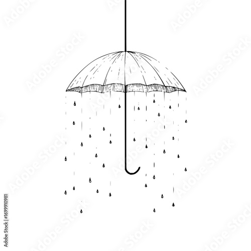 Umbrella rain drawing weather protection raindrops sketch monochrome season rainfall rainstorm wet climate  art