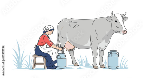 Traditional farmer milking cow by hand into a metal pail