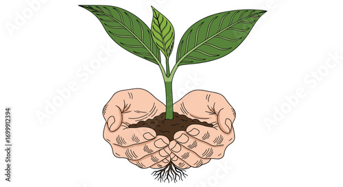 Nurturing a young plant seedling in caring hands for sustainable growth and environmental protection