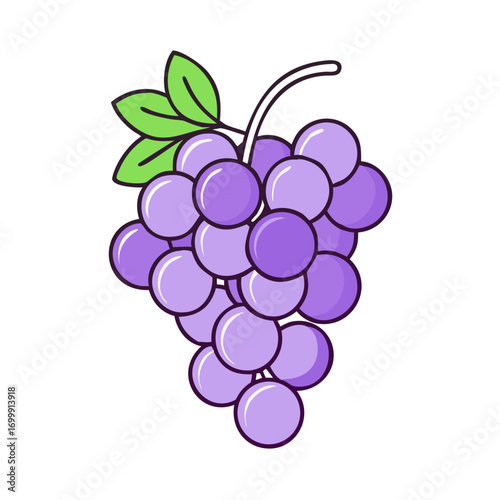 Illustration of a bunch of purple grapes with green leaves on top
