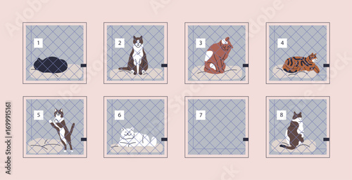 Cat in cage boxes at feline animal shelter. Staying in adoption and rescue center, clinic, cattery with abandoned and lost kittens, kitties, missing pets behind bars. Flat vector illustration