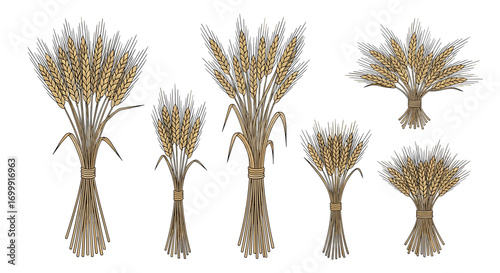 Collection of stylized bundles of wheat stalks with tied bases