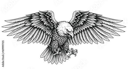 Majestic eagle spreading its wings in a detailed illustration style