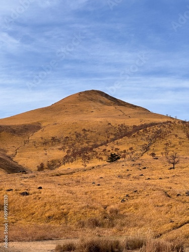 Fukuoka in a Day: Sea, Alleys, and Temple Memories