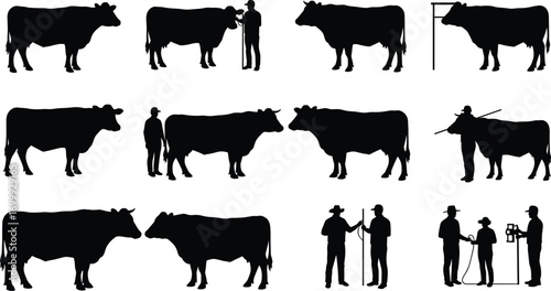 Silhouette of cows and farmers, cattle inspection, livestock farming scene, agriculture industry concept, animal husbandry, rural ranch life, teamwork