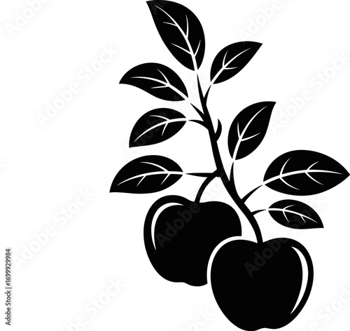 A Simple Illustration of Two Apples Growing on a Branch with Leaves Showing a Natural Fruitful Harvest and Healthy Orchard Production Concept