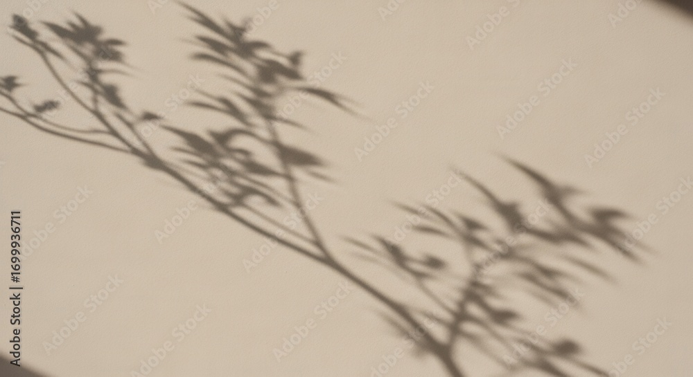 Obraz premium Shadows of delicate plant branches and leaves cast diagonally across a light-colored wall forming a natural ethereal pattern