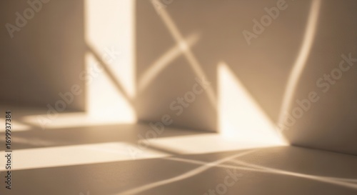 Warm sunlight casts geometric shadows across a plain wall and floor creating abstract patterns in an indoor setting