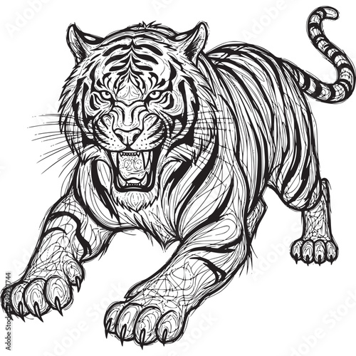 Vector art of fierce tiger roaring with bared teeth and claws extended, depicted in a dynamic black and white line art illustration