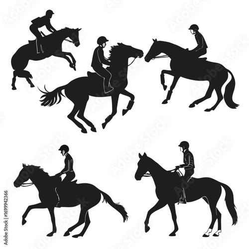 horse and rider