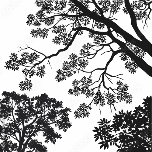 Black silhouette of lush tree branches and foliage against a stark white background creating a graphic and natural design