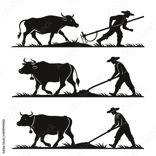 Silhouettes of farmers plowing fields with oxen illustrating traditional agricultural practices and rural life in a simple graphic style