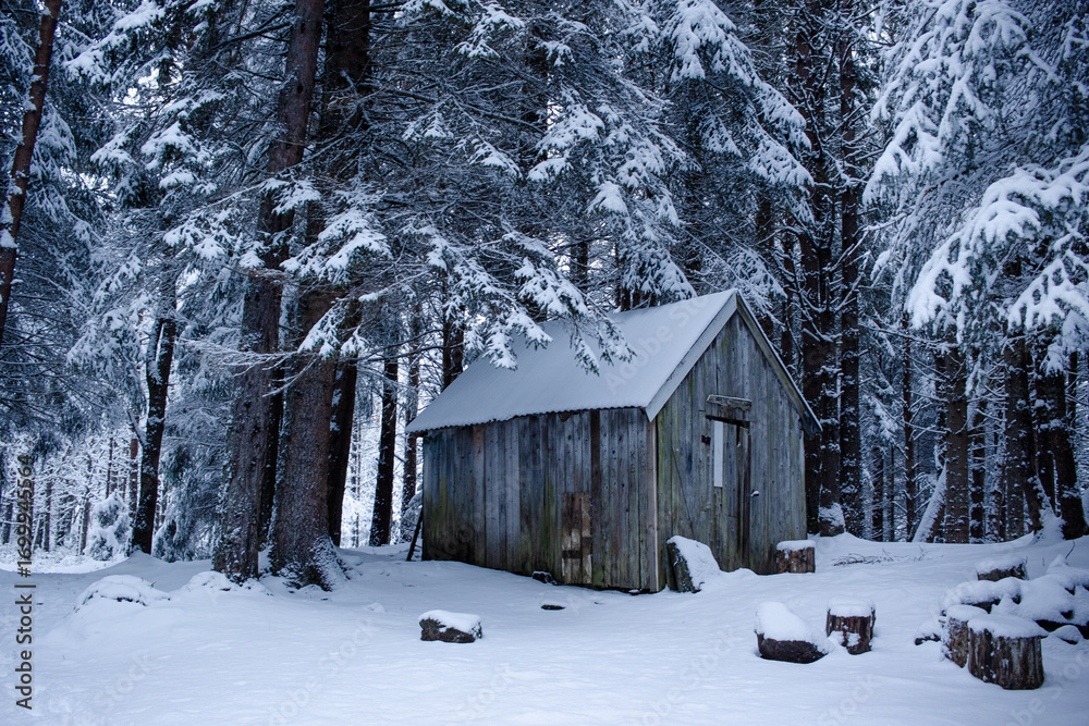 Naklejka premium shed in the forest in winter
