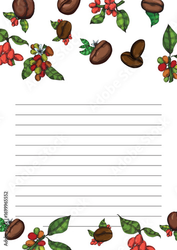 Coffee beans illustration, roasted and raw coffee beans vector, fresh aromatic coffee, hand drawn botanical clipart for invitations, posters, banners and designs