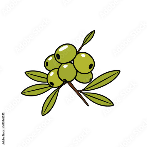 Simple olive illustration in 2D flat vector style, bold outline, ideal for Mediterranean food designs, cooking labels, and restaurant branding.