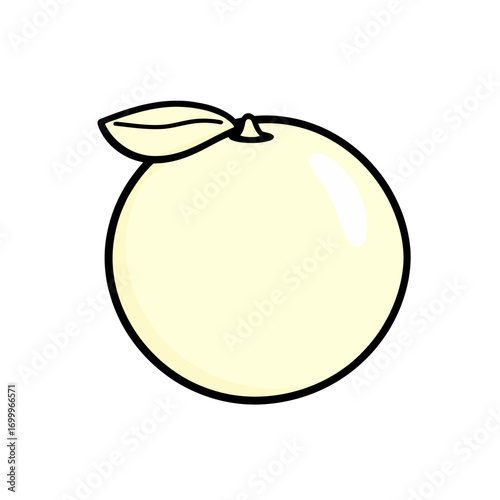 Bright orange fruit in 2D flat vector style, bold outline, simple geometric shape, great for vitamin C campaigns, juice branding, and menu designs.