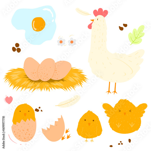 A collection of cute bird pictures