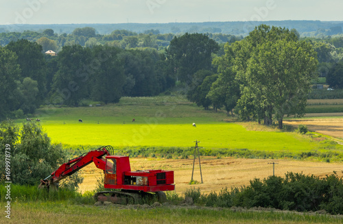 Red excavator standing on a green meadow with trees in the background, captured in natural light. A photograph combining construction machinery with a natural landscape.