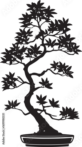 bonsai tree silhouette