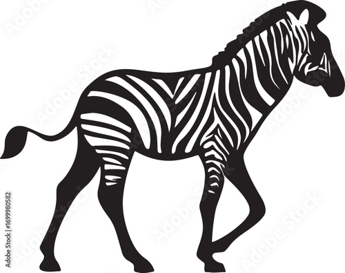 zebra vector illustration