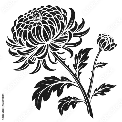 Elegant Black Chrysanthemum Flower Vector Illustration 1.