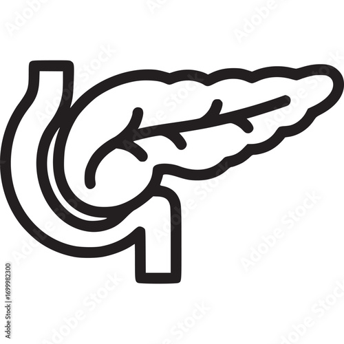 Illustration of a pancreas isolated on white background the pancreas is an organ in the abdomen that is part of the digestive system and produces insulin and other enzymes