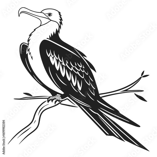 Elegant Frigatebird Perched on Branch Vector Illustration.