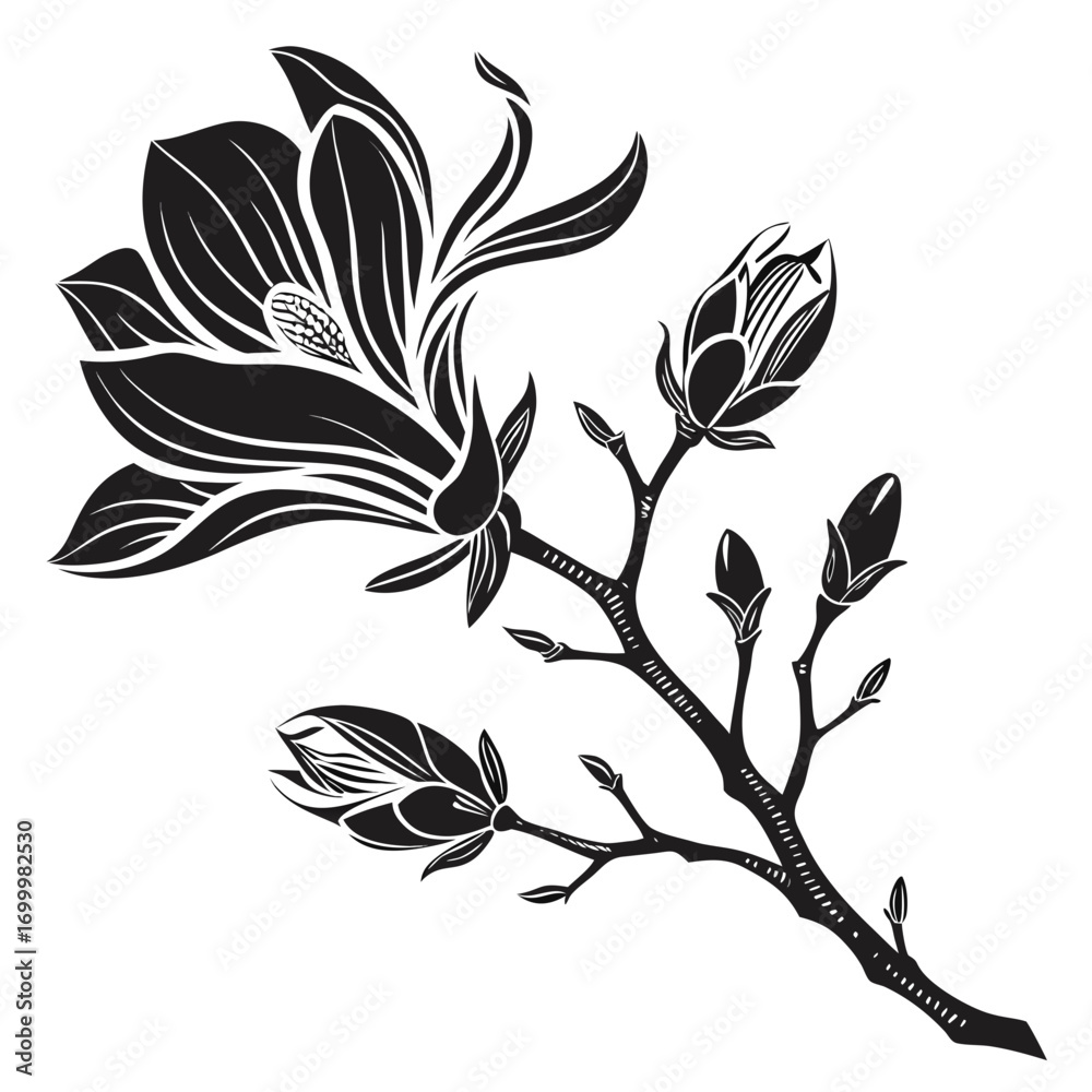 Obraz premium Elegant Magnolia Flower and Bud Branch Vector Illustration.