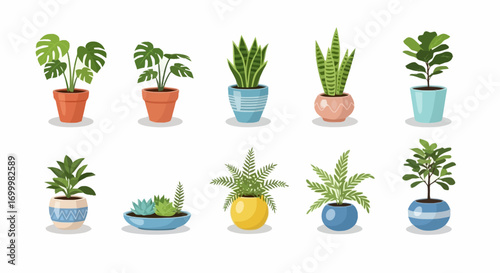 Diverse Collection of Potted Houseplants in Colorful Ceramic Pots, Ideal for Interior Decoration, Botanical Illustrations, and Enhancing Home Decor Projects