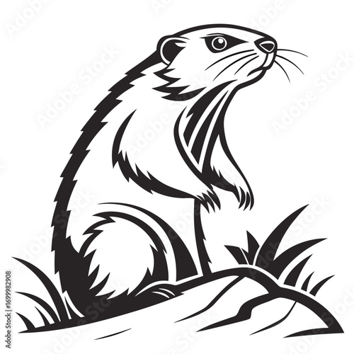 Groundhog Standing Up Vector Illustration.