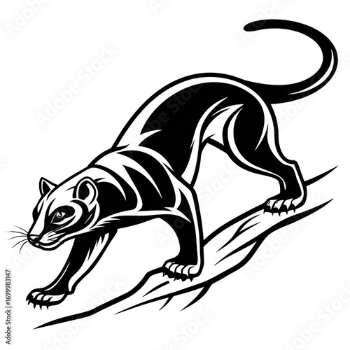 Powerful Black Panther Stalking on Branch Illustration.