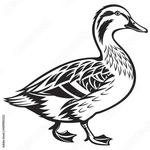 Stylized Black and White Duck Illustration.