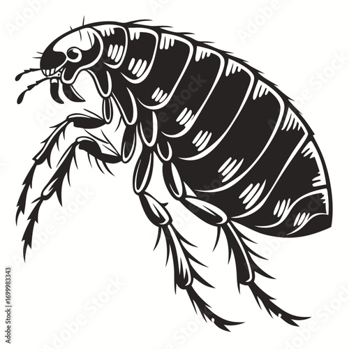 Stylized Black and White Flea Illustration.