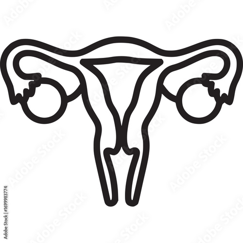 Illustration of a uterus isolated on white background, showcasing the female reproductive system, essential for gynecology, fertility, and womens health awareness