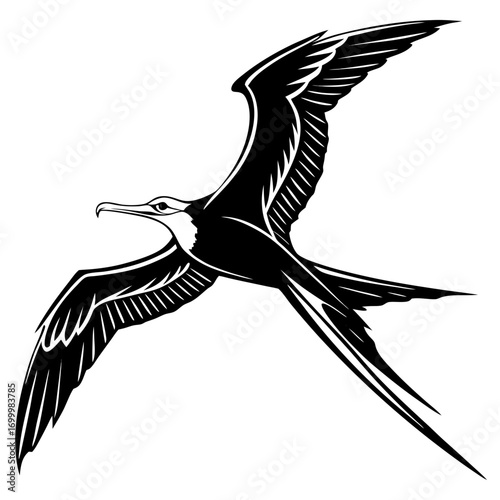 Stylized Frigatebird in Flight Illustration.