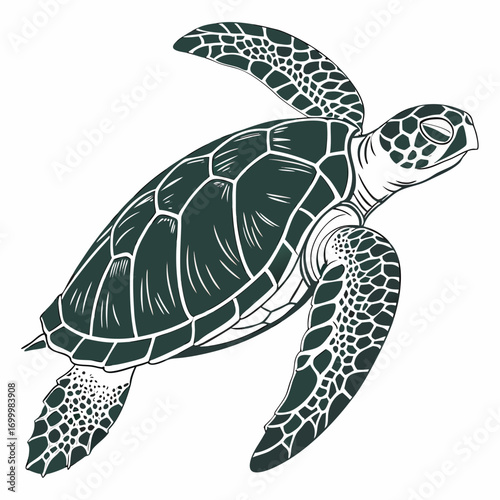 Stylized Green Sea Turtle Swimming Illustration.