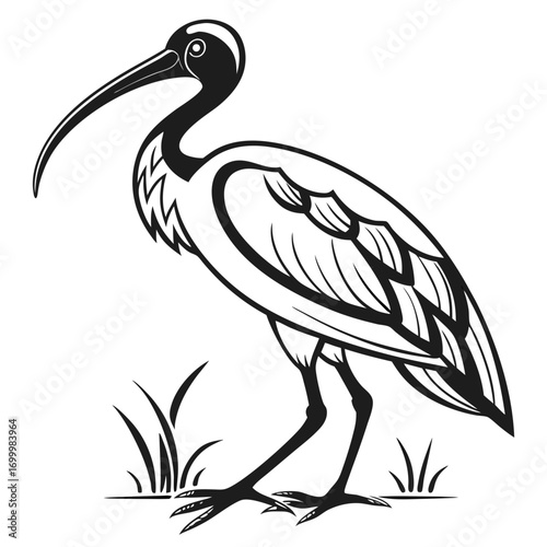 Stylized Ibis Bird Illustration.