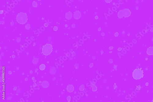 artistic backdrop: purple canvas covered with multiple paint spots