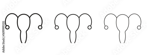 Gynecology icon with outline style, vector illustration designs