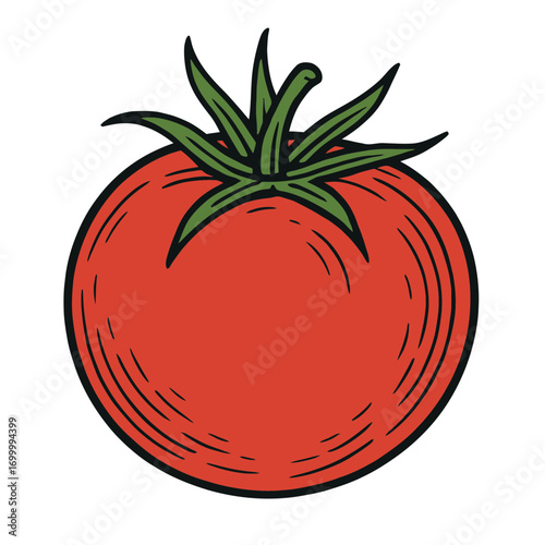 Red tomato illustration fresh vegetable food ingredient healthy organic produce