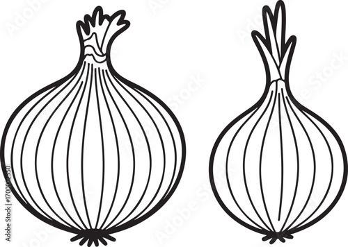Detailed Line Art of Two Onions with Roots and Stems on Transparent Background Vegetable Illustration