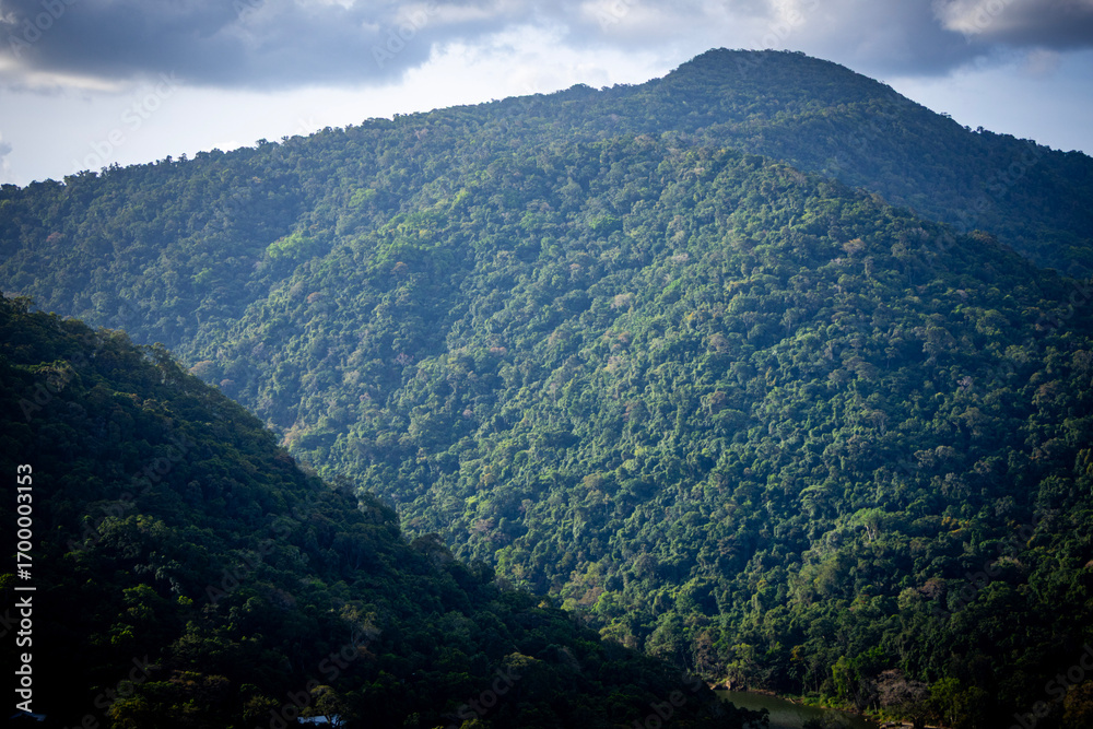 Fototapeta premium A vibrant, green-covered mountain peak against a dramatic, cloud-filled sky