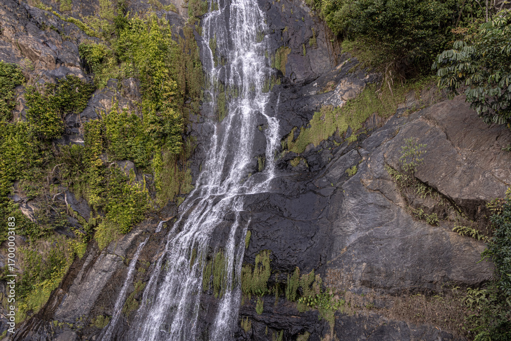 Obraz premium A tropical waterfall cascading down a rocky cliffside covered in lush green moss and foliage. 