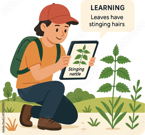 Student in field biology photographing a plant app returns species ID and short micro-lesson illustration